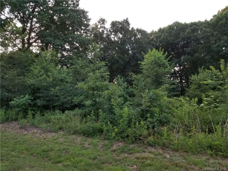 Property image 3 at Lot 10 Dover Street, Claremont, NC 28610