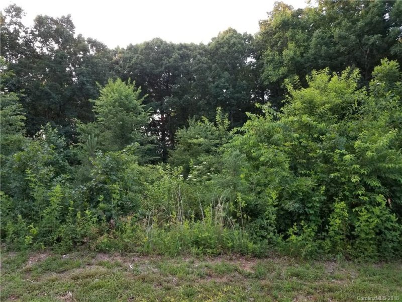 Property image 4 at Lot 10 Dover Street, Claremont, NC 28610