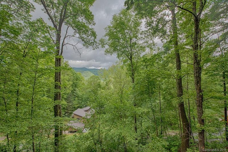 Property image 5 at 46 Hummingbird Drive, Maggie Valley, NC 28751