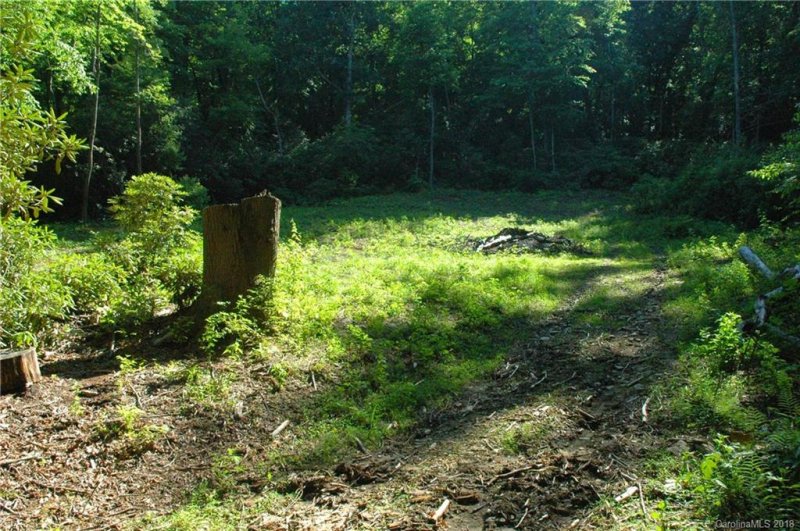 Property image 4 at 143 And 161 Burnside Trail, Hendersonville, NC 28792