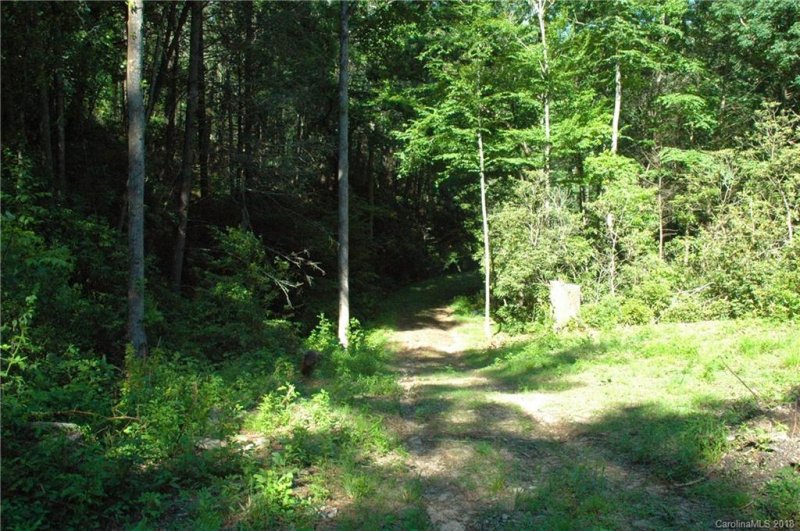 Property image 5 at 143 And 161 Burnside Trail, Hendersonville, NC 28792