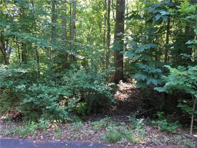 442 Cotton Court