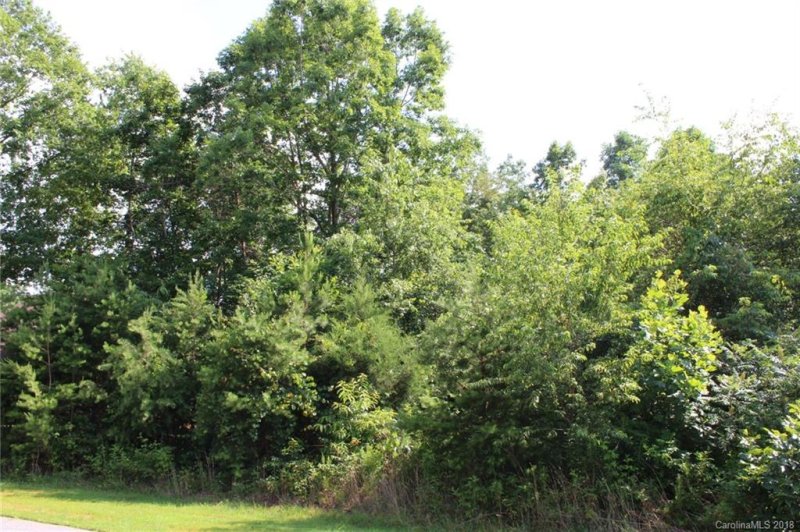 Property image 4 at 232 Donsdale Drive, Statesville, NC 28625