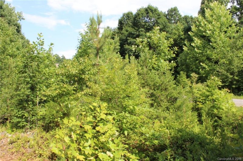 Property image 3 at 249 Donsdale Drive, Statesville, NC 28625