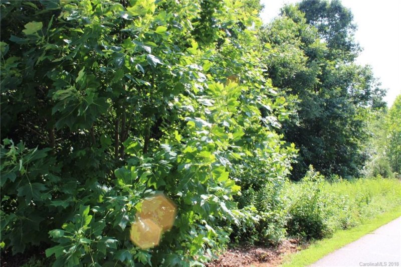 Property image 2 at 256 Donsdale Drive, Statesville, NC 28625