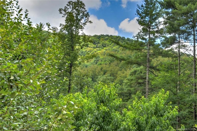 Property image 5 at 14 Shelton Branch Road, Barnardsville, NC 28709