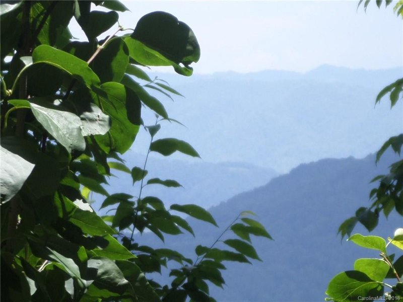 Property image 3 at 2977 Heath Peak Road, Waynesville, NC 28785