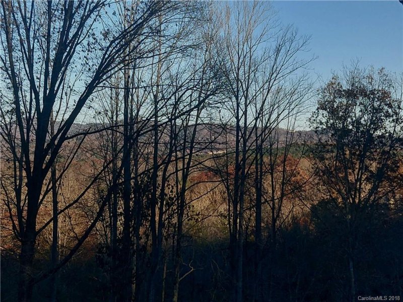 Property image 4 at 30 Timber Moss Drive, Asheville, NC 28804