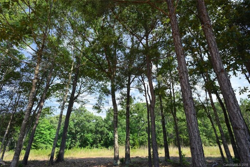 Property image 3 at 660 Preston Brooks Drive, Catawba, SC 29704