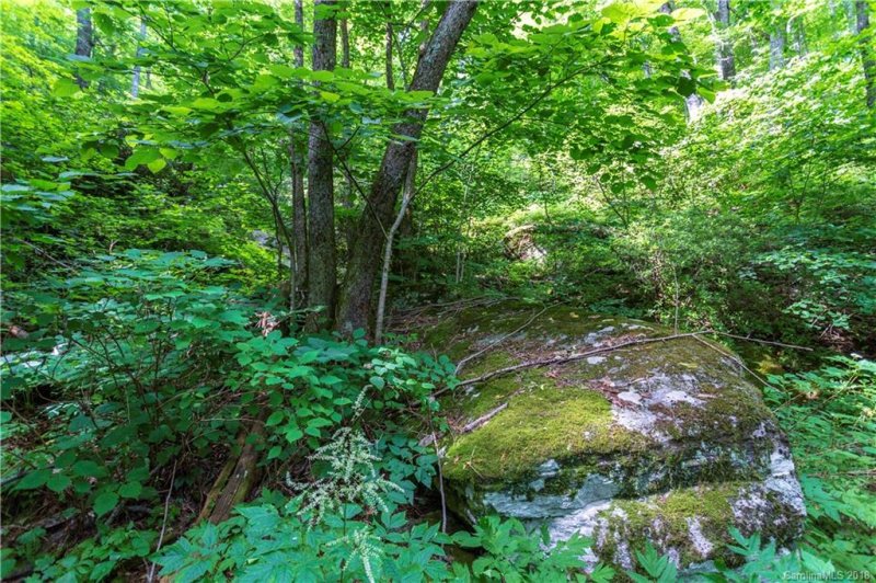 Property image 3 at 9999 Lower Flat Creek Road, Black Mountain, NC 28711