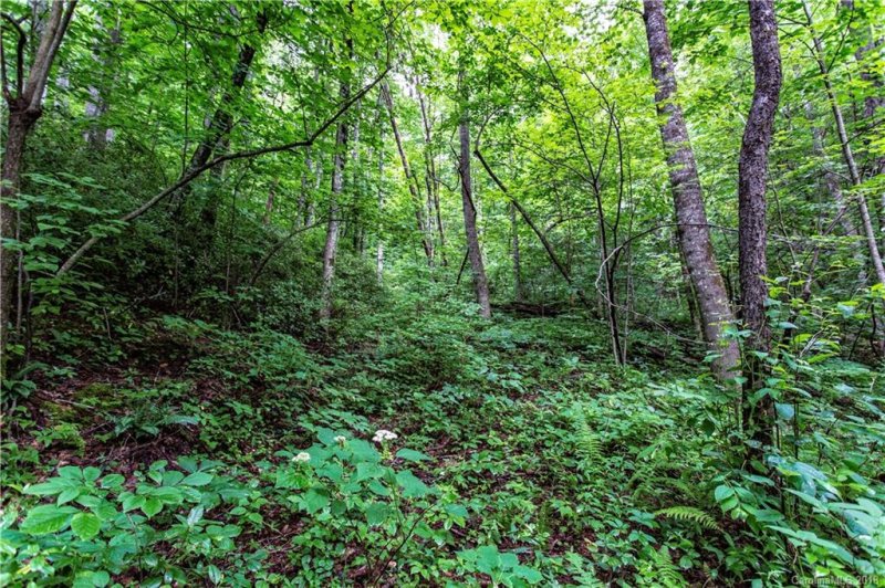 Property image 4 at 9999 Lower Flat Creek Road, Black Mountain, NC 28711