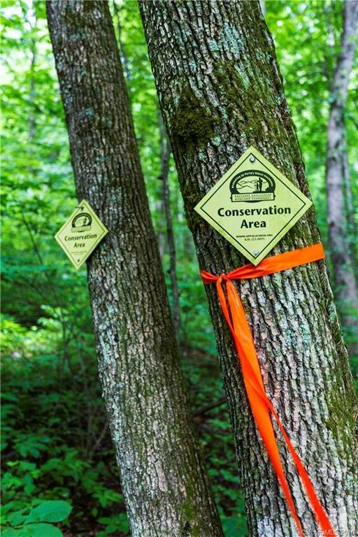 Property image 5 at 9999 Lower Flat Creek Road, Black Mountain, NC 28711