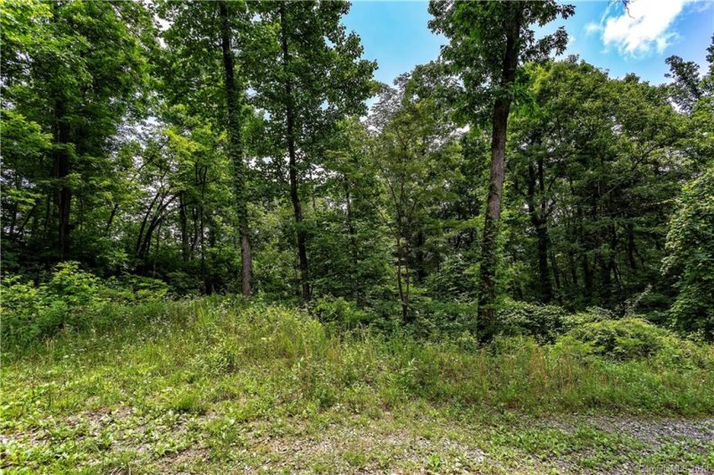 Property image 2 at 9999 Lower Flat Creek Road, Black Mountain, NC 28711