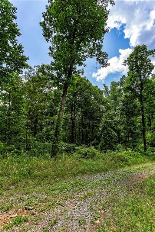 Property image 3 at 9999 Lower Flat Creek Road, Black Mountain, NC 28711