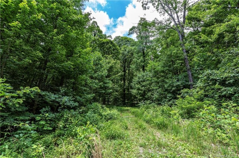 Property image 4 at 9999 Lower Flat Creek Road, Black Mountain, NC 28711