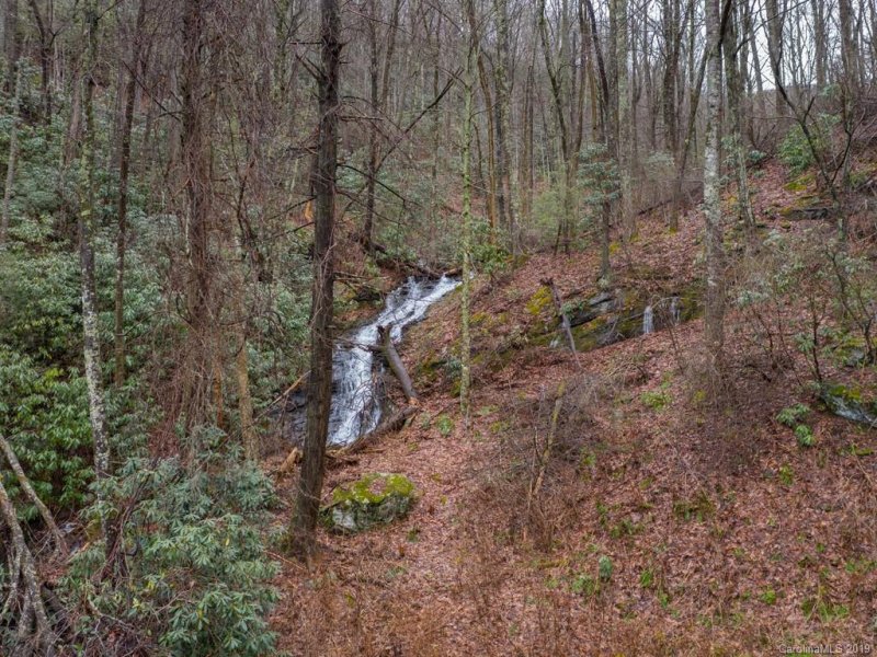 Property image 2 at 117 Mountain Lily Ridge Road, Swannanoa, NC 28778