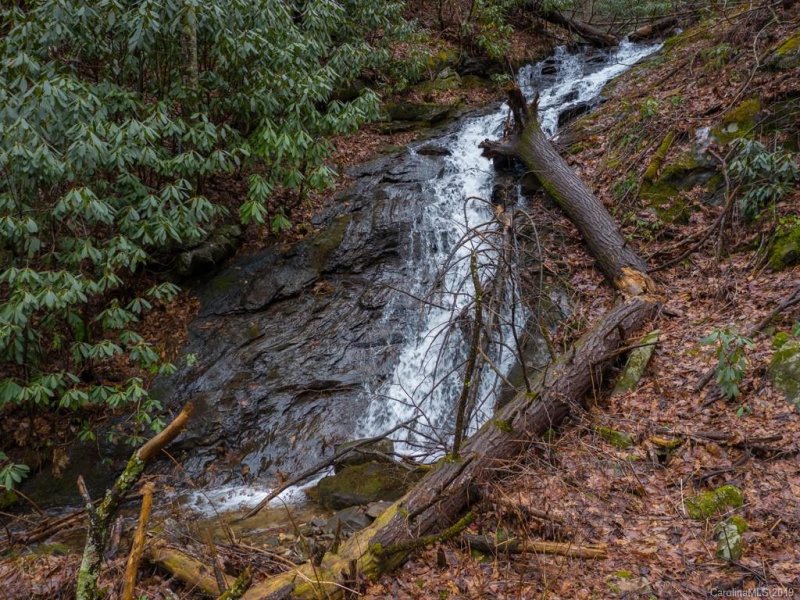 Property image 3 at 117 Mountain Lily Ridge Road, Swannanoa, NC 28778