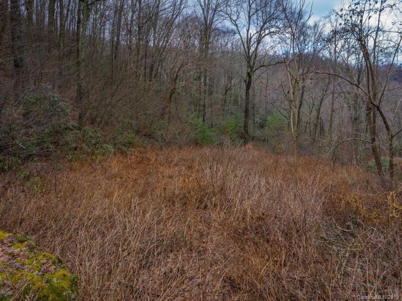 Property image 4 at 117 Mountain Lily Ridge Road, Swannanoa, NC 28778
