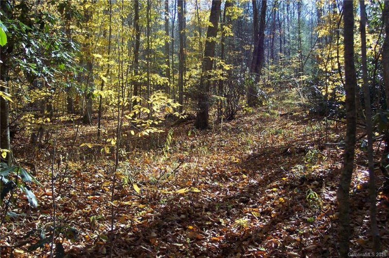 Lot 47 48 Jonathan Trail