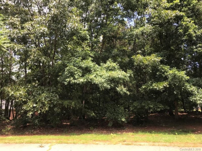 Property image 2 at 296 Asheland Drive, Ellenboro, NC 28040