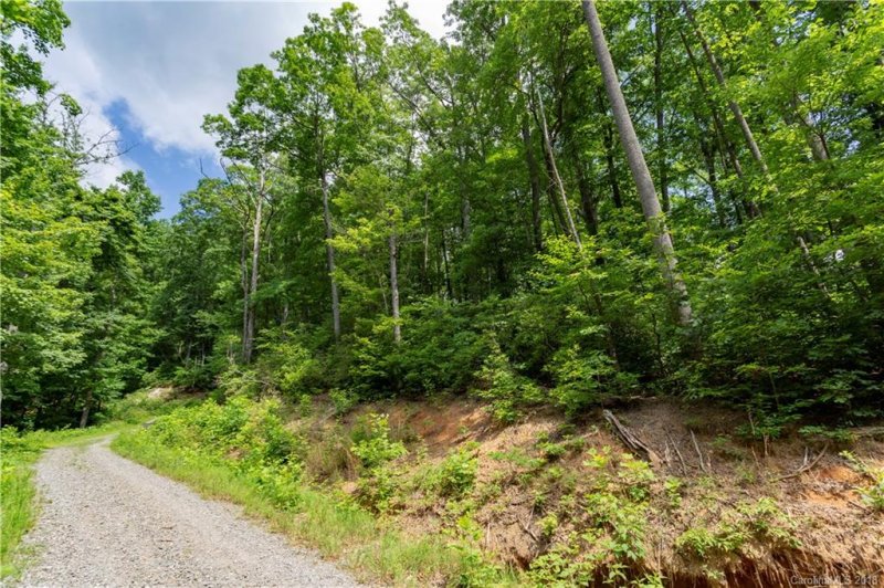 Property image 3 at 9999 Lower Flat Creek Road, Black Mountain, NC 28711