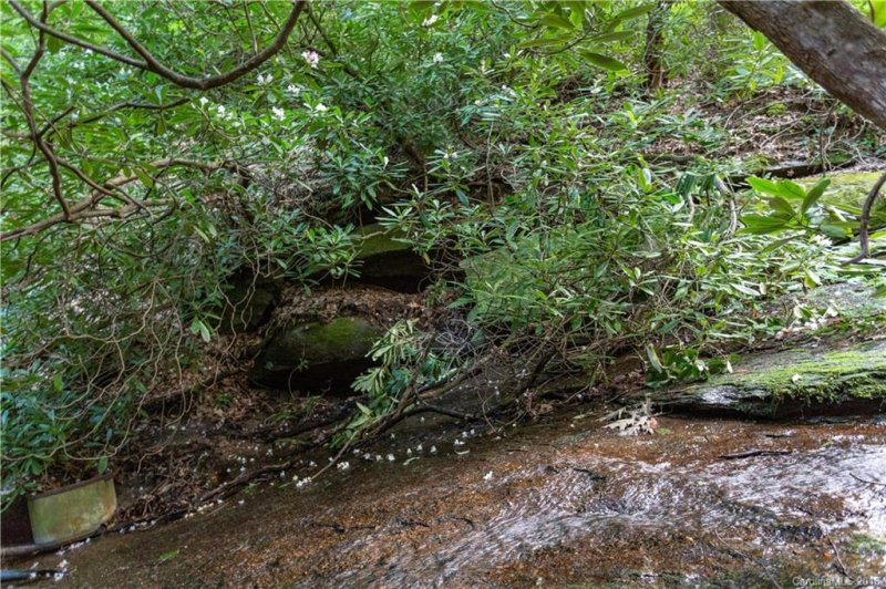 Property image 5 at 9999 Lower Flat Creek Road, Black Mountain, NC 28711