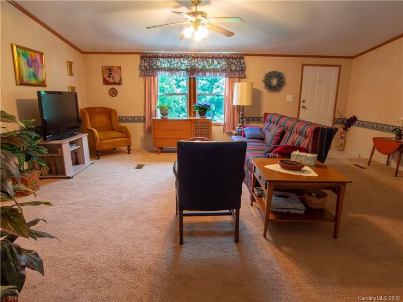 Property image 4 at 24 Roost Road, Horse Shoe, NC 28742