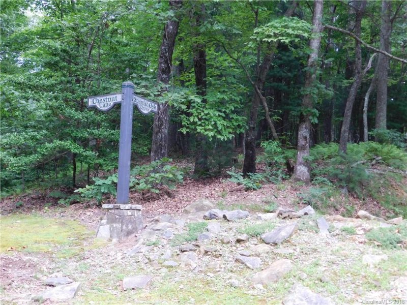 Property image 2 at 20 Chestnut Lane, Cedar Mountain, NC 28718