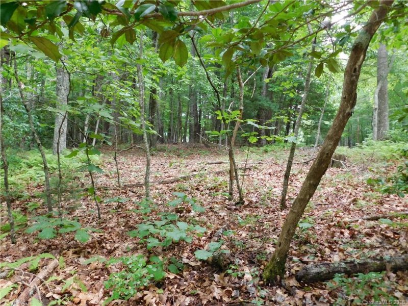 Property image 3 at 20 Chestnut Lane, Cedar Mountain, NC 28718