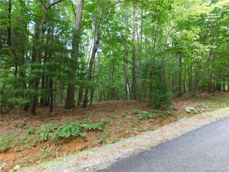 Property image 4 at 20 Chestnut Lane, Cedar Mountain, NC 28718