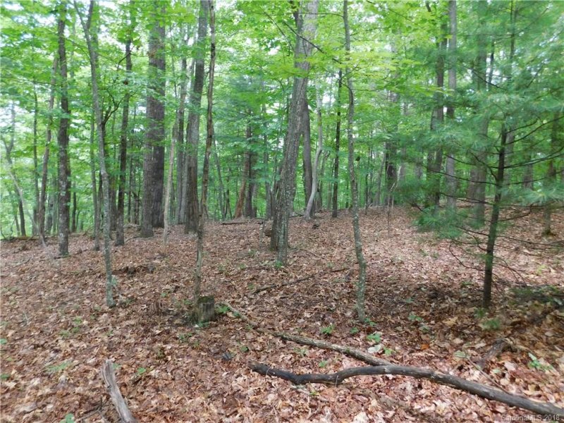 Property image 5 at 20 Chestnut Lane, Cedar Mountain, NC 28718