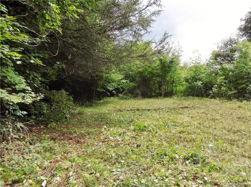 Property image 3 at 488 Rock House Cove Road, Clyde, NC 28721