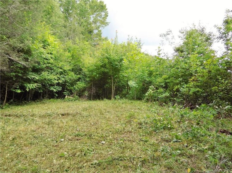 Property image 5 at 488 Rock House Cove Road, Clyde, NC 28721