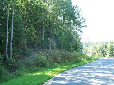 Property image 4 at 2046 Castle Vista Court, Connelly Springs, NC 28612