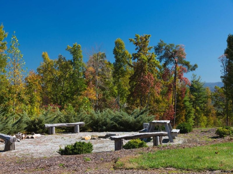 Property image 4 at 172 Long Tail Lane, Hendersonville, NC 28739