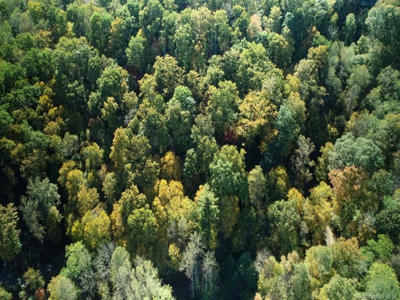 Property image 3 at 26 Bear Vista Trail, Waynesville, NC 28785