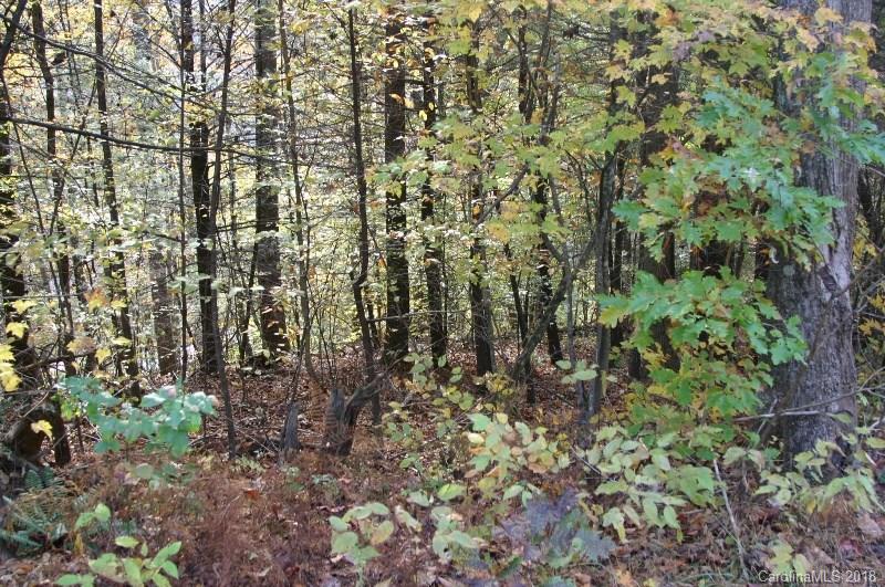 Property image 4 at 0000 Silverstone Drive, Hendersonville, NC 28792