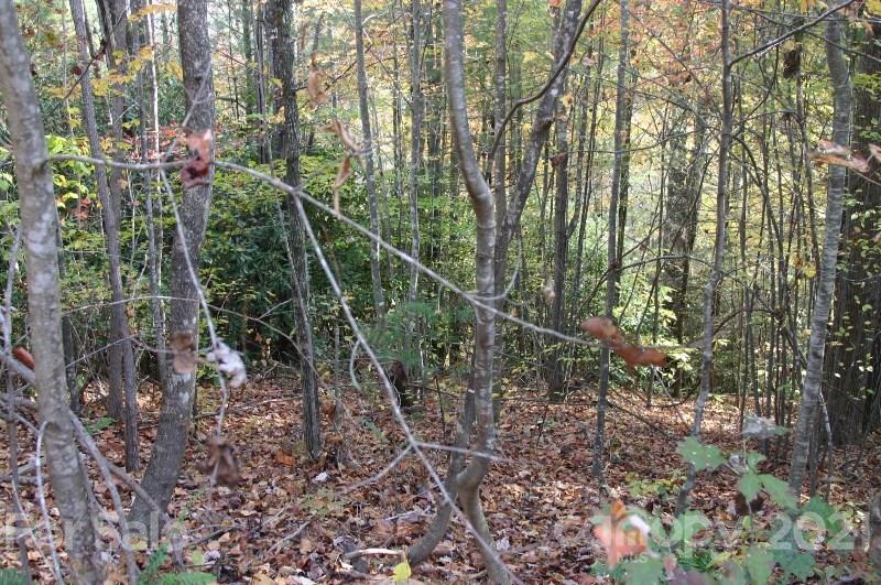 Property image 3 at 0000 Silverstone Drive, Hendersonville, NC 28792