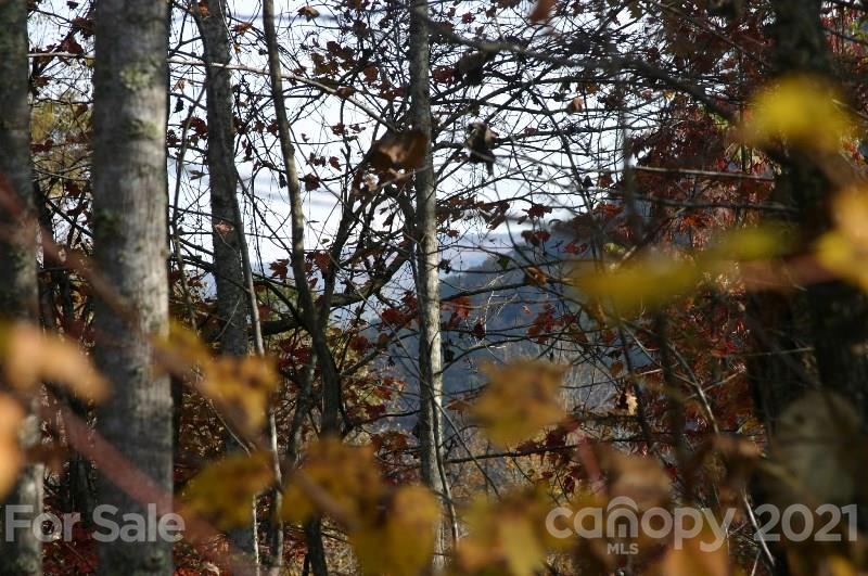 Property image 5 at 0000 Silverstone Drive, Hendersonville, NC 28792