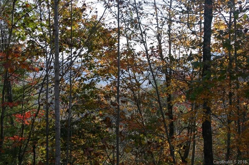 Property image 3 at 0000 Us Highway 64 None, Hendersonville, NC 28792