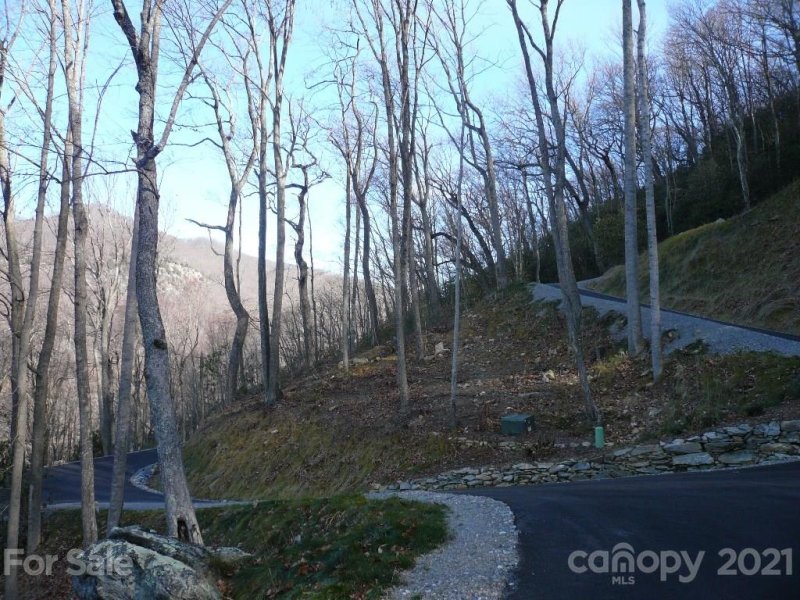 Property image 3 at 60 Chesten Mountain Drive, Asheville, NC 28803