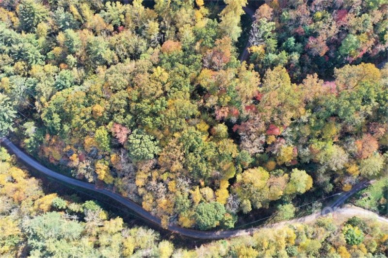 Property image 4 at Vl313 Mountain Forest Estates None, Sylva, NC 28779