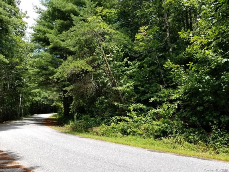 Property image 4 at 0 Old Mt Olivet Road, Zirconia, NC 28790