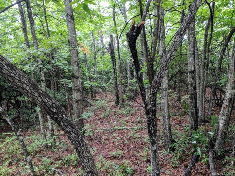 Property image 2 at Lot 25 Burgin Ridge Road, Black Mountain, NC 28711