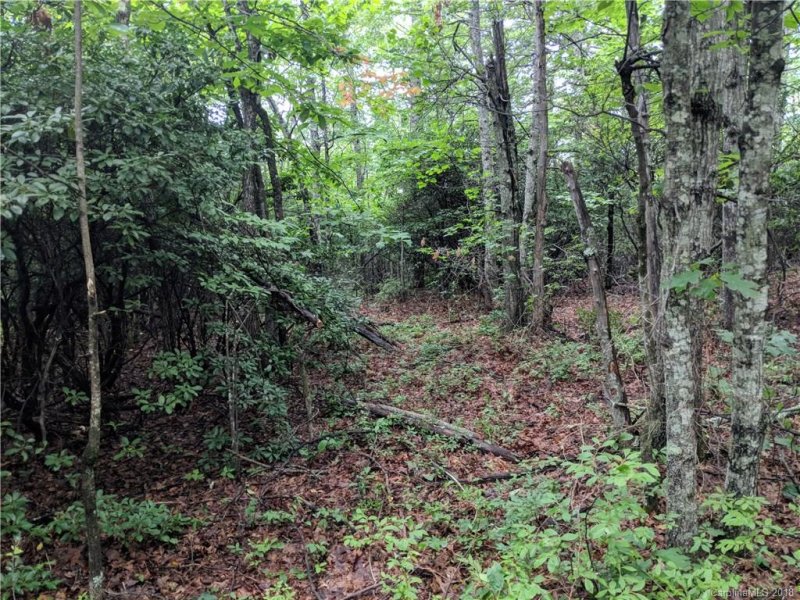 Property image 3 at Lot 25 Burgin Ridge Road, Black Mountain, NC 28711