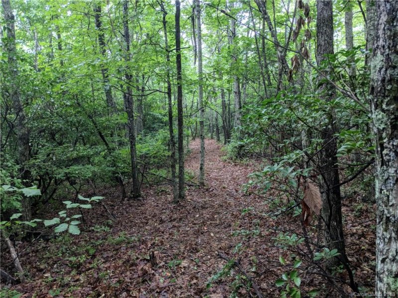 Property image 4 at Lot 25 Burgin Ridge Road, Black Mountain, NC 28711