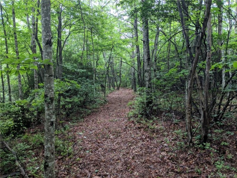 Property image 5 at Lot 25 Burgin Ridge Road, Black Mountain, NC 28711