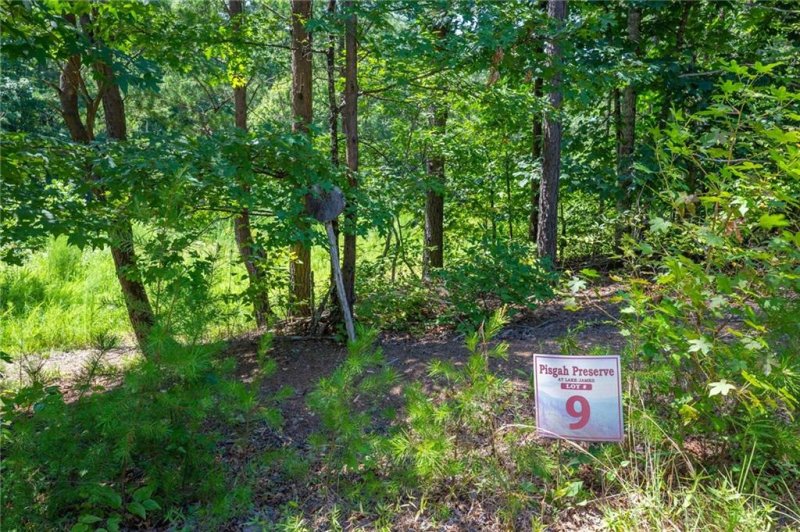 Property image 3 at V L 9 Pisgah Preserve Drive, Nebo, NC 28761