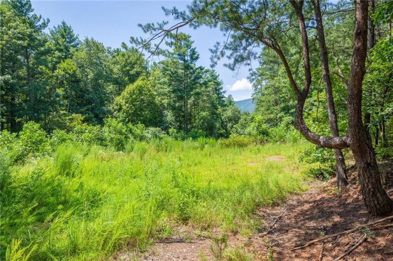 Property image 4 at V L 9 Pisgah Preserve Drive, Nebo, NC 28761