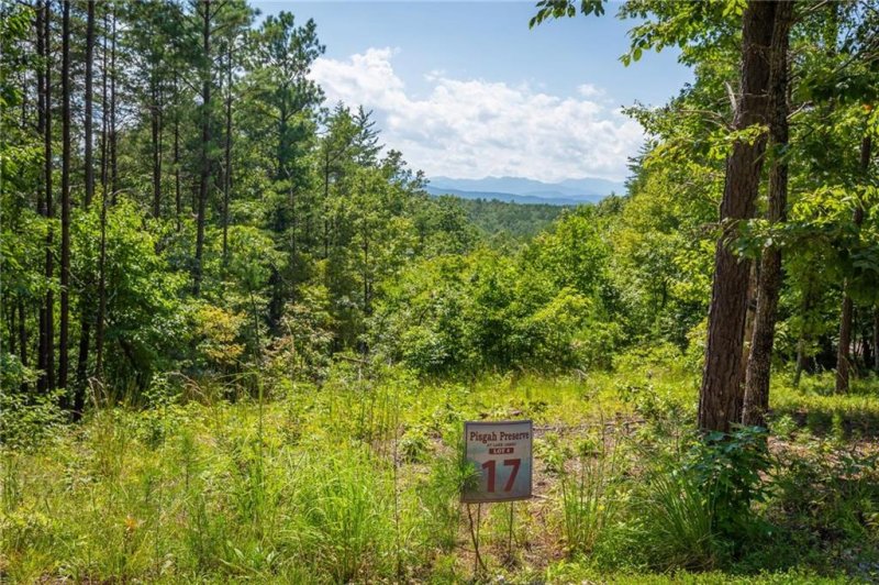 Property image 3 at 8519 South Mountain Drive, Nebo, NC 28761